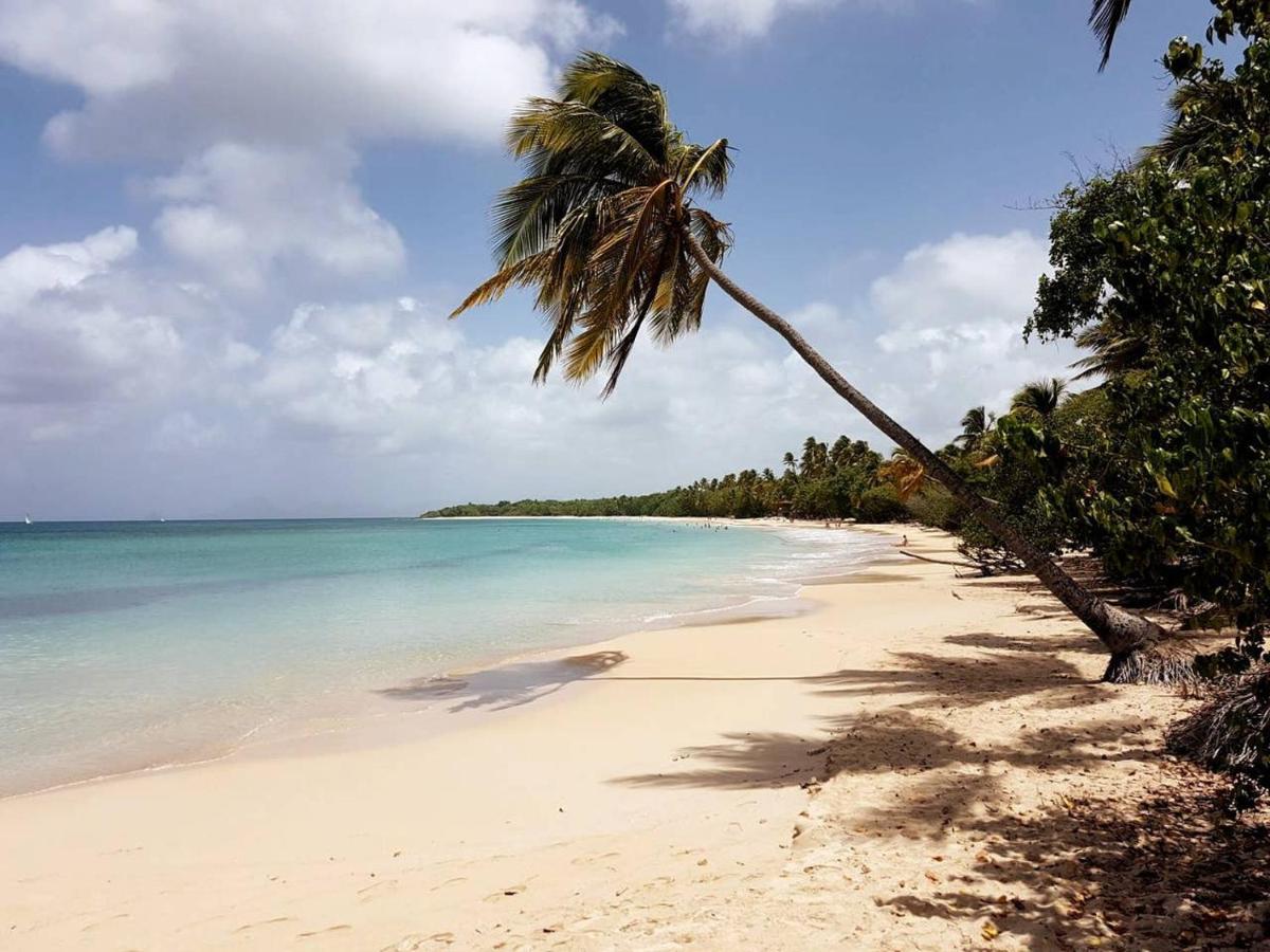 Dany Lodge - Spacieux T2 A 5 Minutes De La Plage En Voiture Rivière-Pilote Eksteriør bilde